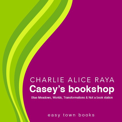 Casey's bookshop by Charlie Alice Raya
